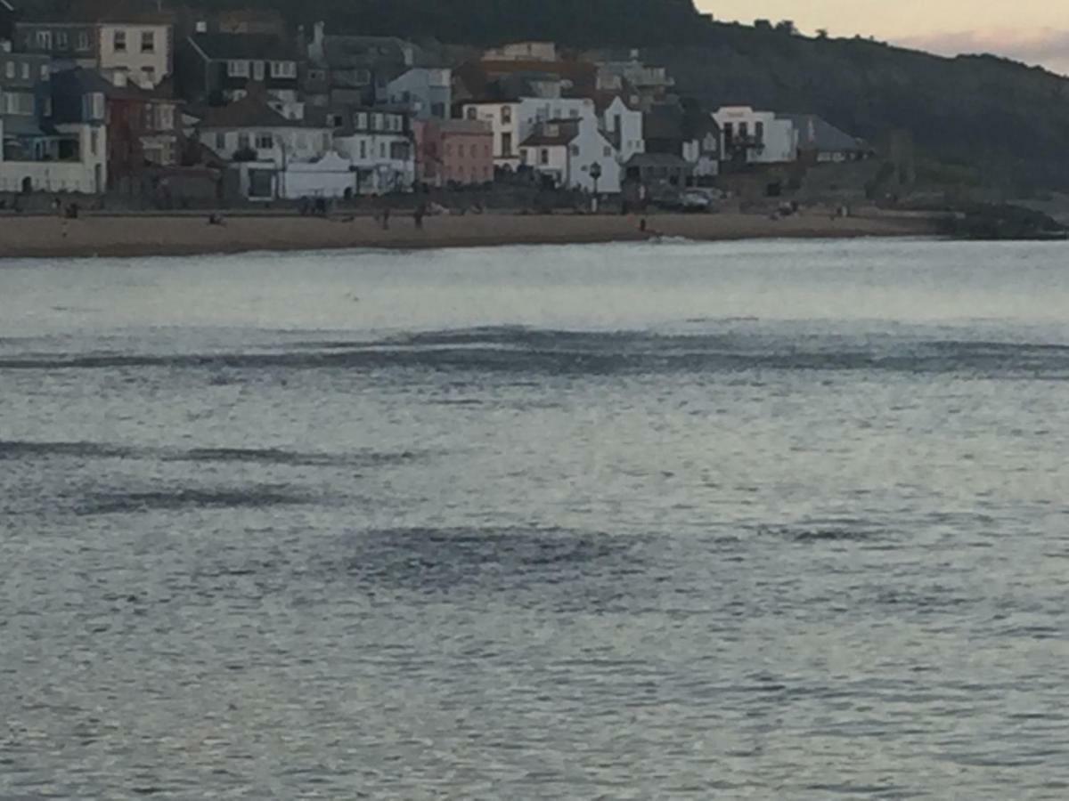 Little Monmouth 4 Bedroom Cottage, Old Town Lyme Regis, Dog Friendly And Parking 外观 照片